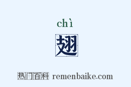 翅是什么意思的图片